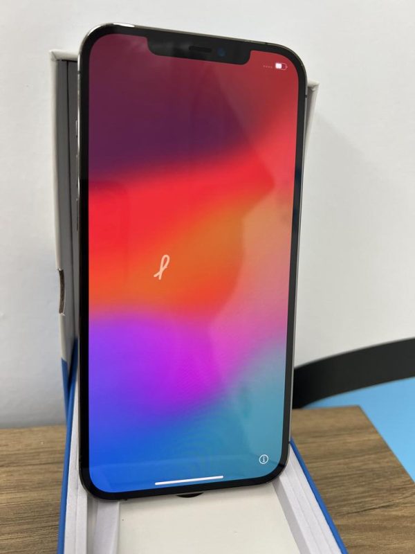 🔵 iPhone 12 Pro Max | Bleu Pacifique | 256 Go | Excellente